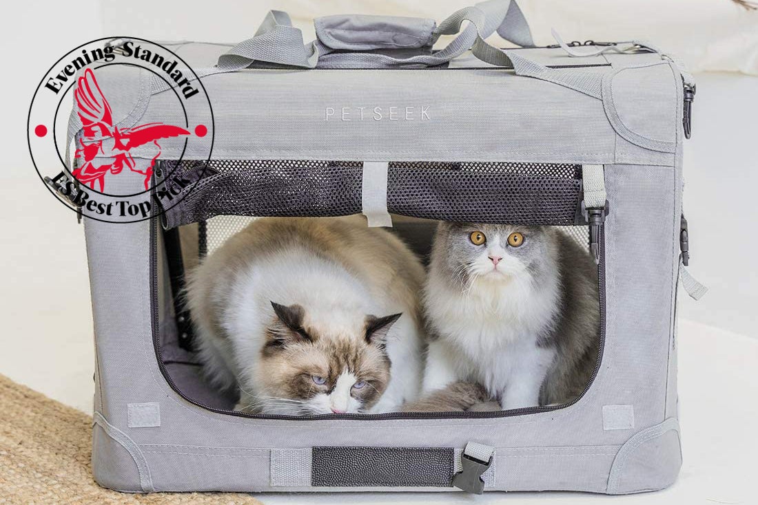 Best cat carriers, tried and tested for travelling with your pet