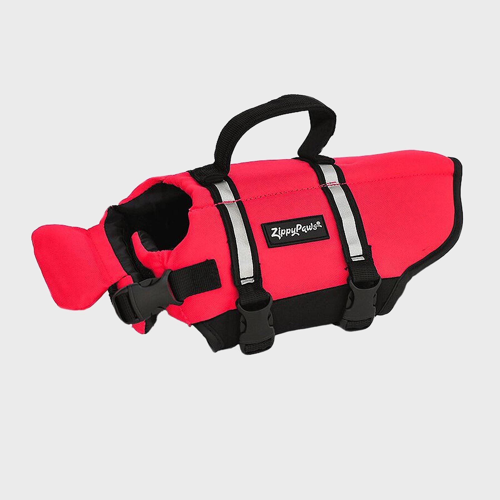 6 Best Dog Life Jackets to Keep Your Pooch Safe Around Water