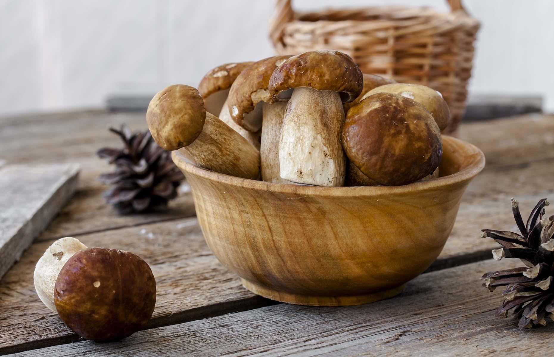 Porcini Mushrooms