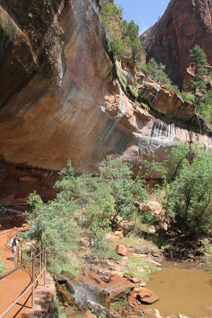 17 Super Fun Things To Do In Utah's Zion National Park