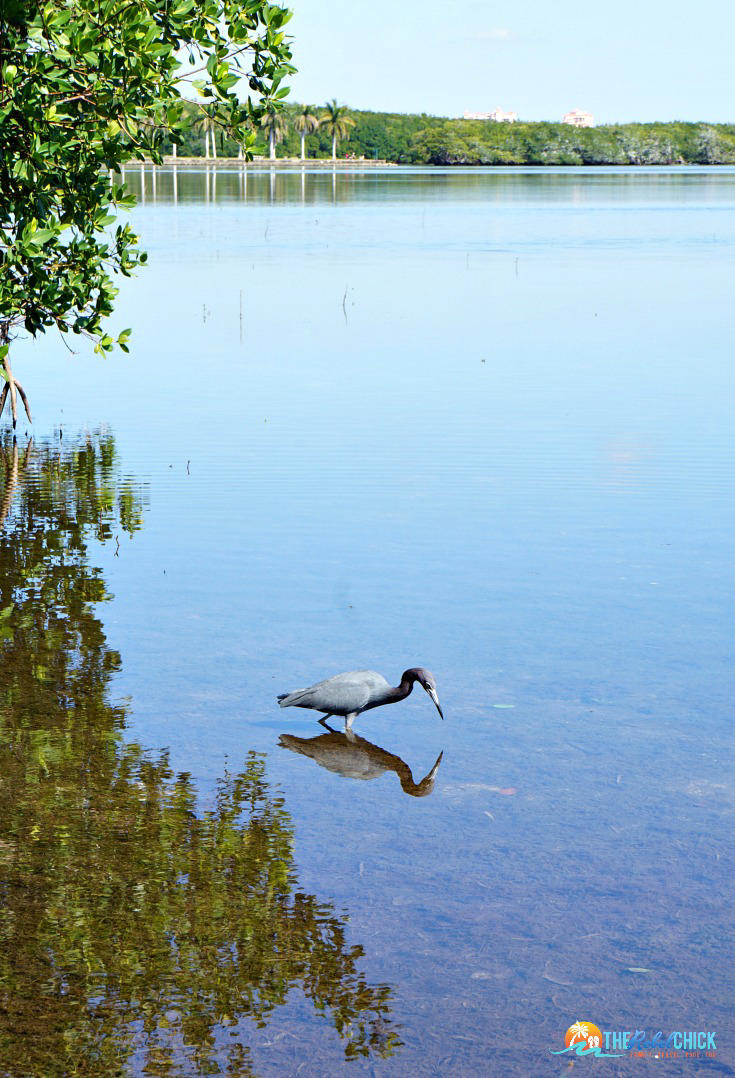 Things to do in Miami Before and After Your Cruise