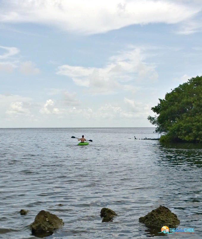 Things to do in Miami Before and After Your Cruise