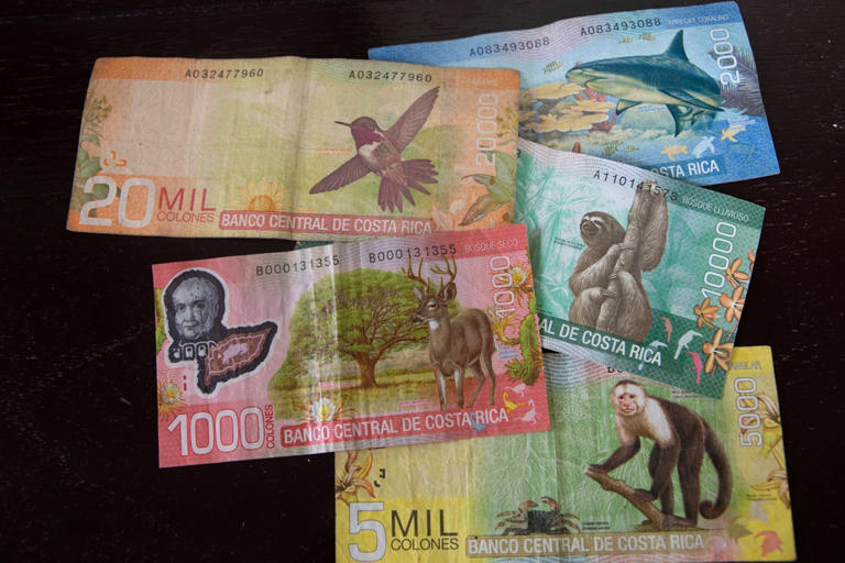 A guide to Costa Rica currency- everything you need to know about Costa Rican money when traveling to Costa Rica. As you plan your trip to Costa Rica, one of the first things that comes to mind is money. No one wants to be in a foreign country sans funds, and if you are anything...