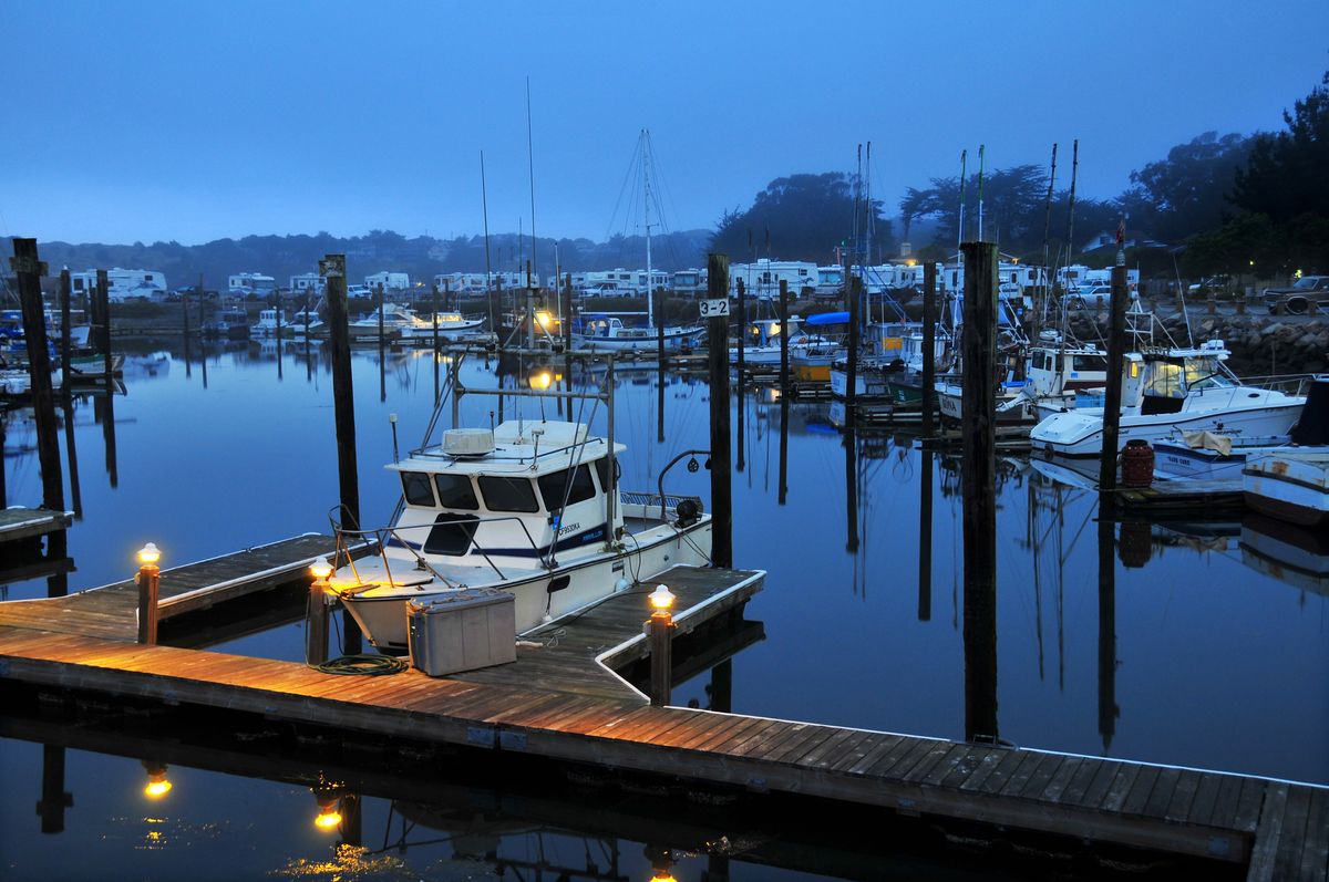 Bodega Bay