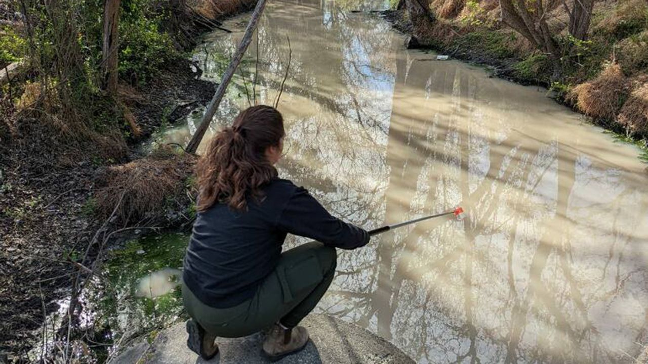 Popular Washington Site Fails First Sound Rivers 2024 Test   AA1bB03H.img