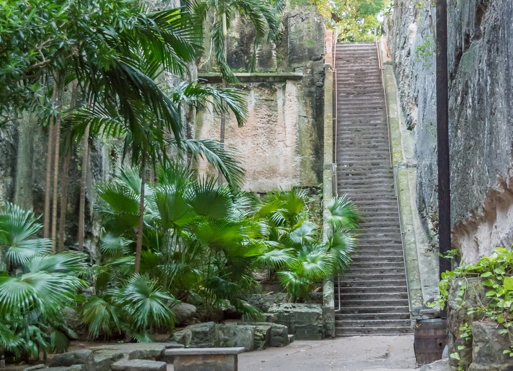 <p><strong>Location:</strong> Nassau</p> <p><a href="https://www.tripadvisor.com/Attraction_Review-g147416-d147523-Reviews-Queen_s_Staircase-Nassau_New_Providence_Island_Bahamas.html" rel="noopener noreferrer">This landmark</a> is part of Fort Fincastle Historic Park in Nassau and is most often referred to as the "66 steps." Carved out of solid limestone in the 18th century, the steps are steep and often slippery, but you'll be rewarded for your climb with fantastic views of the forest and the island from the top.</p> <p><strong>Pro tip:</strong> Be sure to arrange return transportation from the steps, since it can be hard to find taxis nearby.</p> <p class="listicle-page__cta-button-shop"><a class="shop-btn" href="https://www.tripadvisor.com/Attraction_Review-g147416-d147523-Reviews-Queen_s_Staircase-Nassau_New_Providence_Island_Bahamas.html">Learn More</a></p>