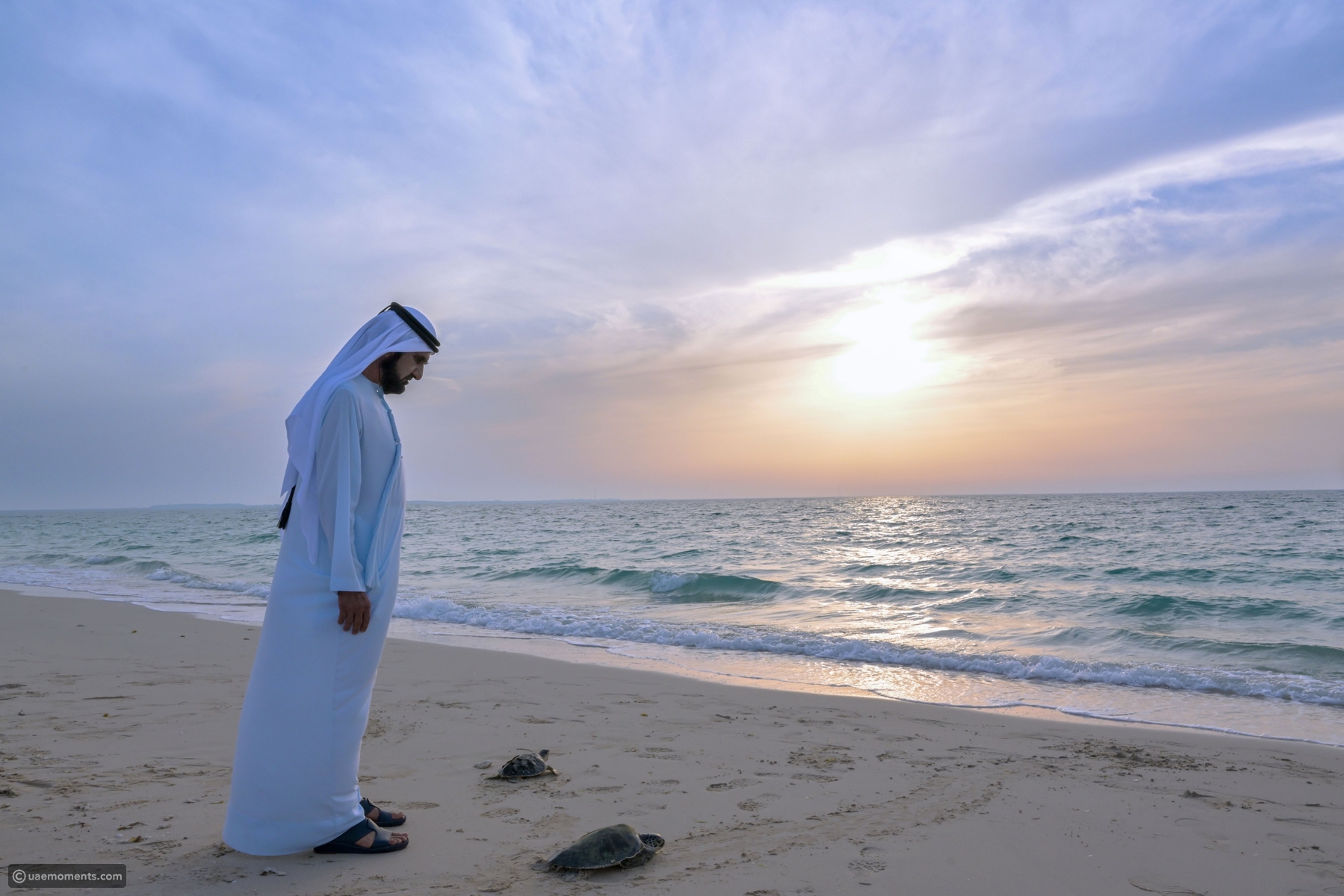 sheikh mohammed announces major beach development plan