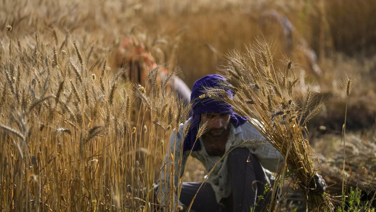 india's foodgrains output set to touch a new record at 330 million tonnes in 2022-23