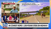 Cowboy and professional cow catcher Ricky Littlejohn recalls roping 1,200-pounds steer on highway on ‘Fox & Friends,’ saying the cow was loose for weeks before he caught it.