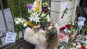 Fans lay flowers outside Tina Turner's Switzerland home