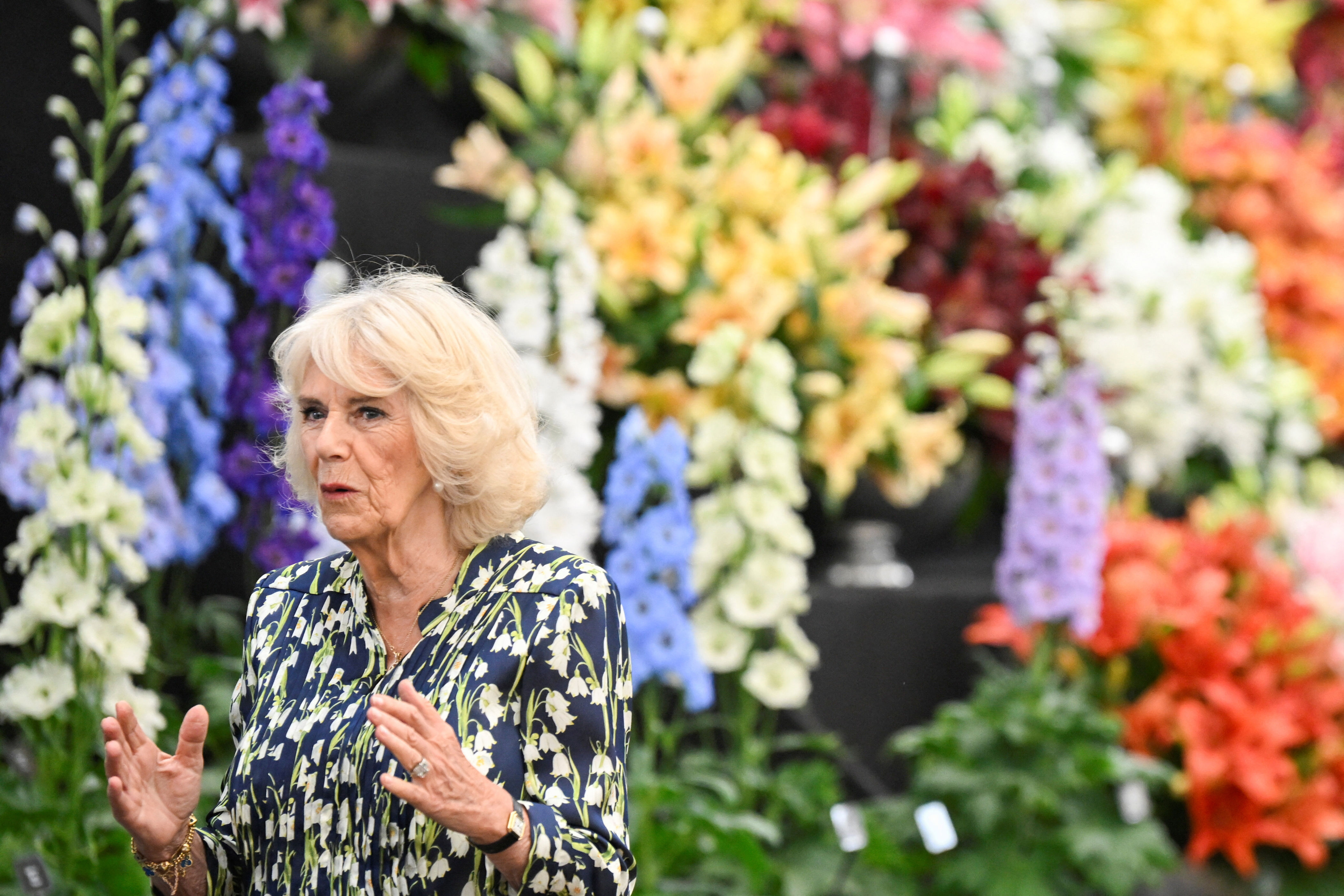 <p>Queen Camilla viewed floral displays at the Royal Horticultural Society's annual Chelsea Flower Show on the grounds of the Royal Hospital Chelsea in London on May 22, 2023.</p>