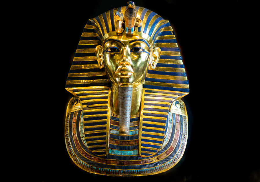 is this fungus behind the pharaoh's curse on king tut's tomb?
