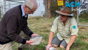 Tim the Yowie Man unearths the story of why Canberra was called the Limestone Plains.