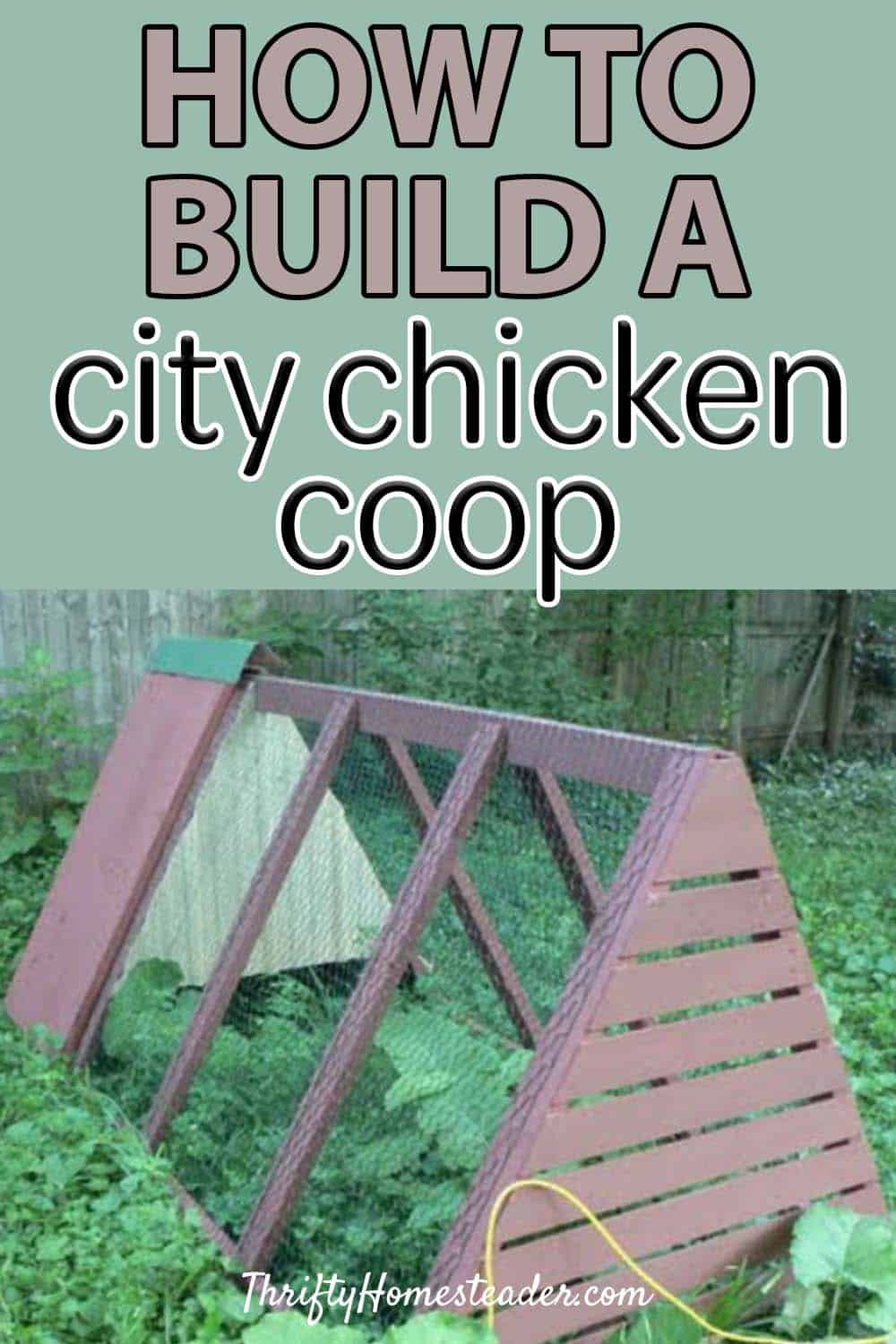 city chicken condo