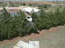 Shed Sheeting Mangled in Trees Following Destructive Storms in New Mexico
