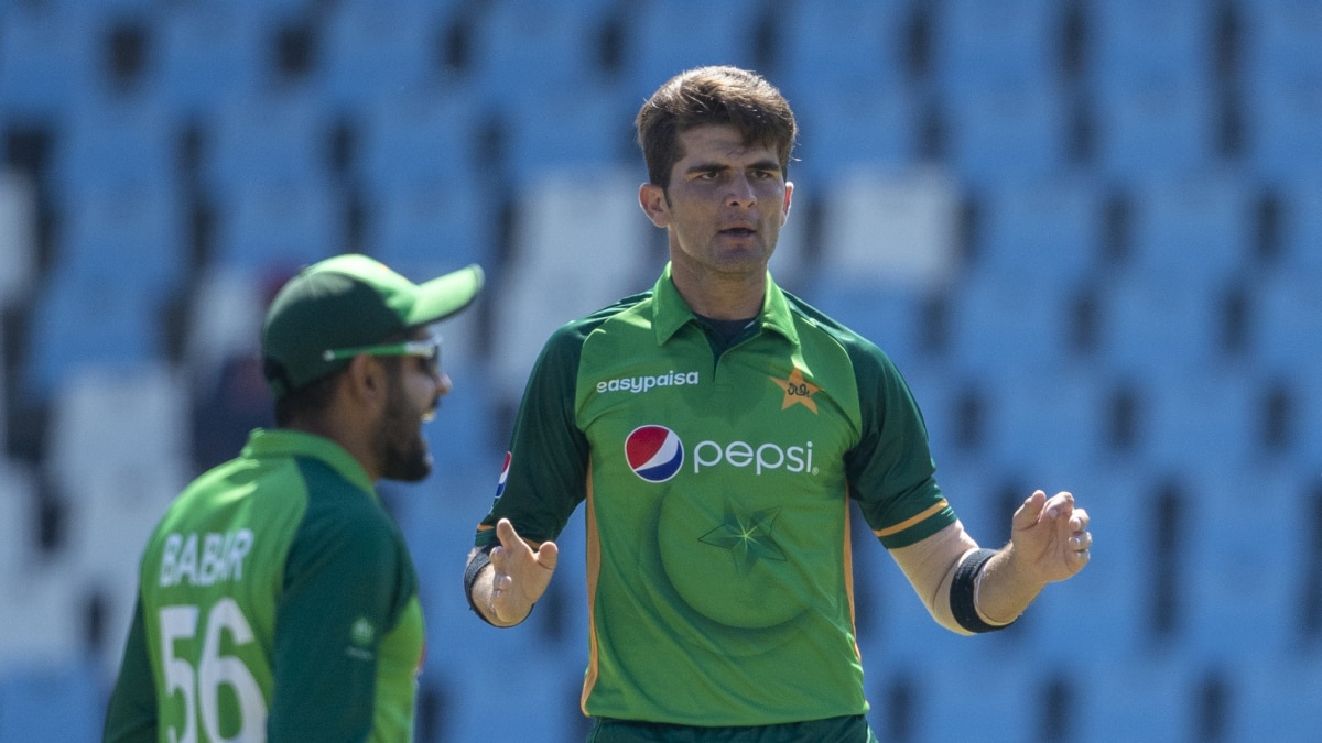 shaheen shah afridi on pakistan's 2022 t20 world cup: if i didn't get injured, we could have won