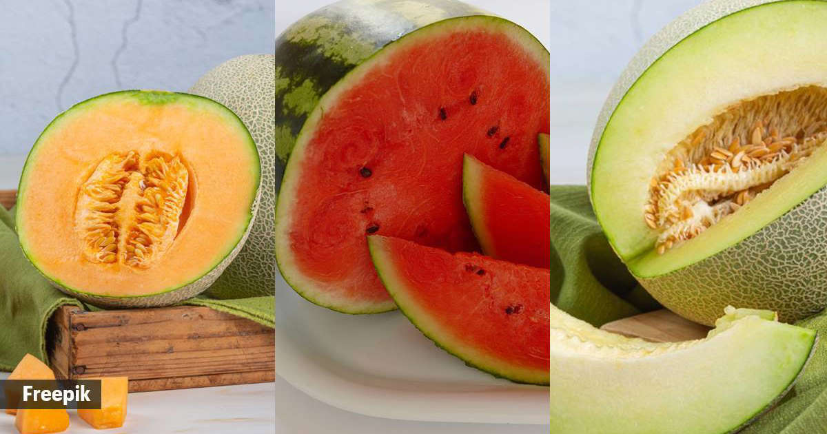 In the battle of melons, the winner is…