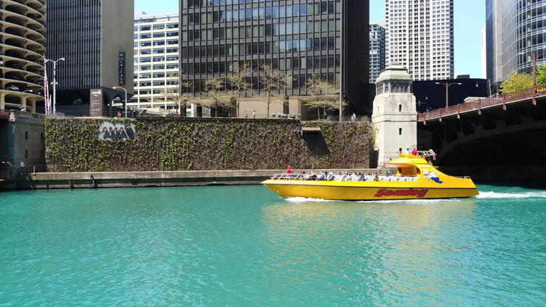 Taking one of the many Chicago boat tours is a delightful way to experience the Windy City.