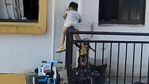Little boy climbs off balcony, neighbor starts filming