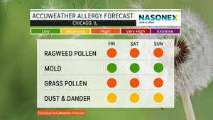 Here's your allergy outlook for May 26