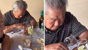 Chill dad secretly feeds dog at the table