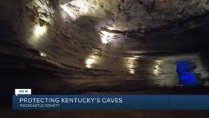 Protecting Kentucky's caves
