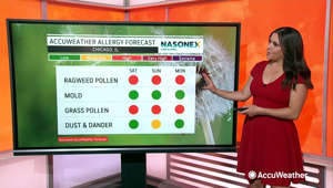 AccuWeather's Kristina Shalhoup shares the updated allergy forecast and how it might impact your weekend plans.