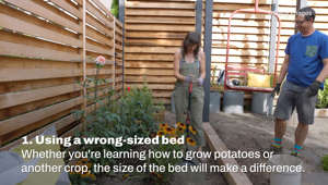 5 Raised Bed Gardening Mistakes I Homes & Gardens