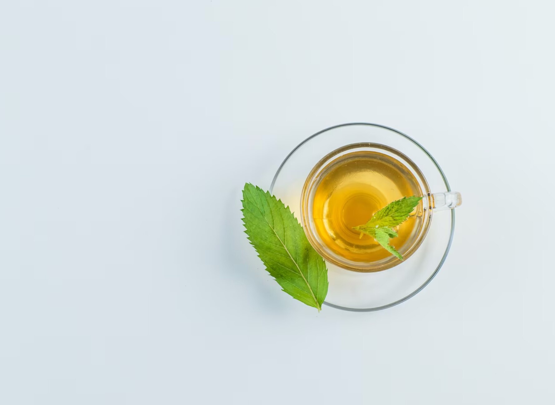 razones para tomar a diario té verde