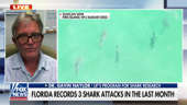 University of Florida Program for Shark Research Director Dr. Gavin Naylor explains how to prevent a shark attack on ‘America Reports’ ahead of Memorial Day Weekend.