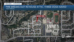 Dogs rescued after a fire broke out in the attic of a house in Paso Robles