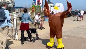 Seaside chippy employs man to scare off seagulls in an eagle costume