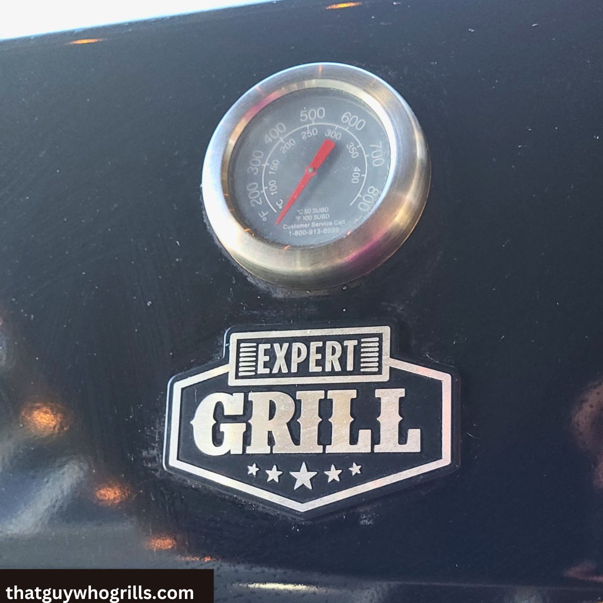 Expert Grill Walmart Buying Guide