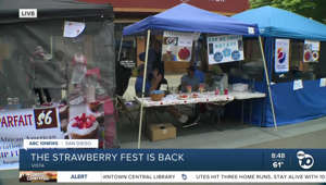 The Strawberry Fest is back in Vista