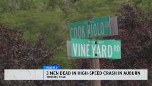 3 Roseville men killed in early Sunday morning crash