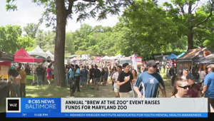 Maryland Zoo hosts 14th annual "Brew at the Zoo" event