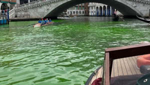 Möglicher Farbanschlag: Teile des Canal Grande in Venedig leuchten grün