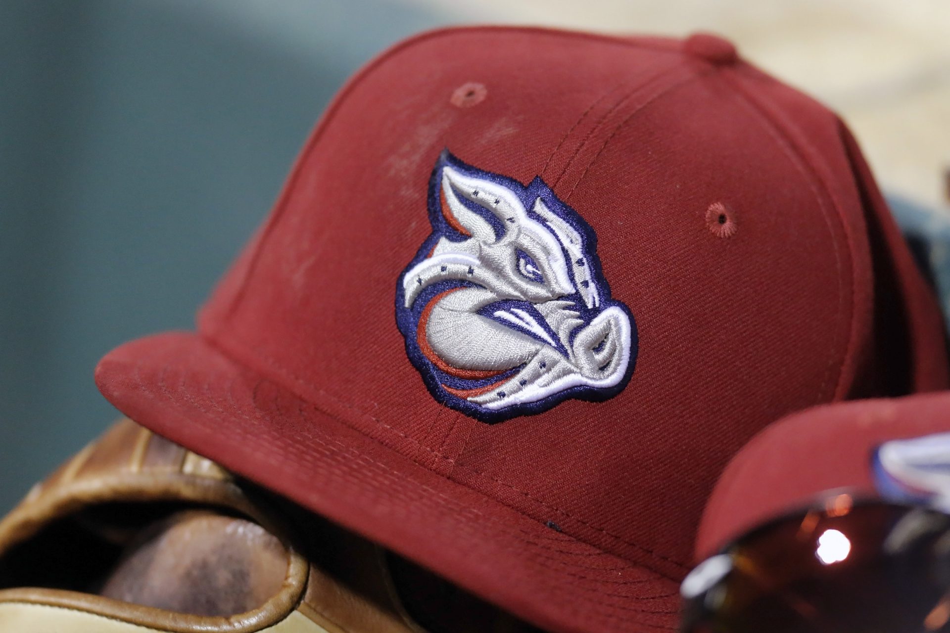 Trash Pandas? Sky Carp? These Minor League Baseball team names are ...