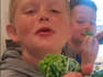 Rib-tickling footage has surfaced from Highland, Utah, which shows two boys finding it impossible to stop laughing at their mom's joke. The comical clip starts with Marie Loveless filming her boys as they enjoy munching on frozen peas. And then comes the part which leaves the lads in splits. "My son was eating from a bag of frozen peas one night, so I asked him what flavor they were," Marie shared with WooGlobe. "Then I told him they were 'pea' flavor and both of my boys started laughing."Hence it's proved that healthy food isn't always boring. One has to find a way to at least make it look fun! Location: Highland, Utah, USAWooGlobe Ref : WGA586134For licensing and to use this video, please email licensing@wooglobe.com