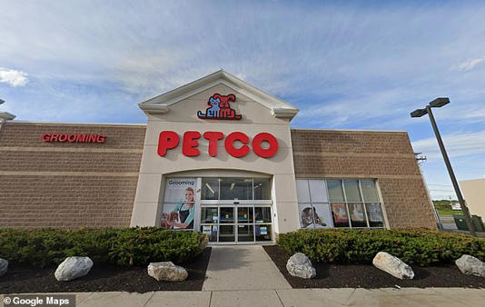 The woman brought the raccoon to the Petco store on Mount Auburn Avenue in Auburn around 1.30pm on May 23