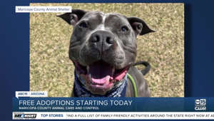 Maricopa County Animal Care & Control over capacity, waiving adoption fees through June 4