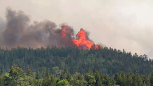 75 homes evacuated Sunday as forest fire burns near Saint Andrews
