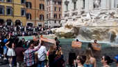 Climate Protesters Pour Charcoal Into Trevi Fountain