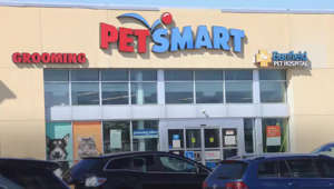 PetSmart Faces Boycott Calls Over Pride Collection