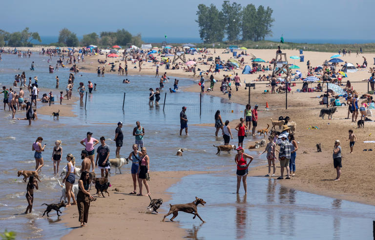 People enjoy themselves at the Montrose Beach in Chicago, the United States, on June 11, 2021. U.S. Midwest state of Illinois, including the country’s third largest city of Chicago, fully reopened on Friday amid jitters. (Photo by Joel Lerner/Xinhua via Getty Images)