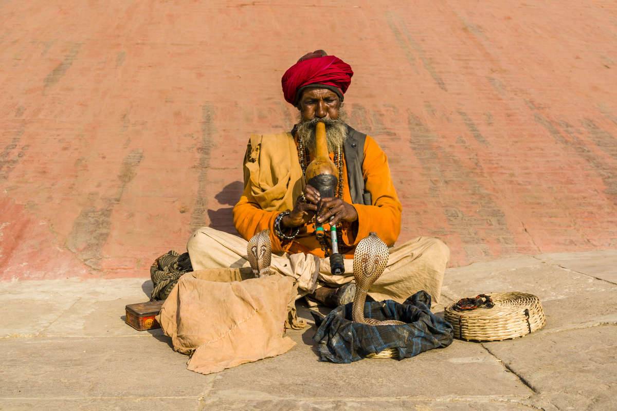 <p>There's a lot more to India than the stereotypical snake charming image you might be used to seeing on television or in books, and snake charming has actually been illegal in India for many years. It still happens in some places, but it's not going to be the most memorable part of your trip.</p>