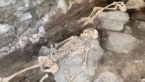 Skeletons from 79 AD discovered in Pompeii