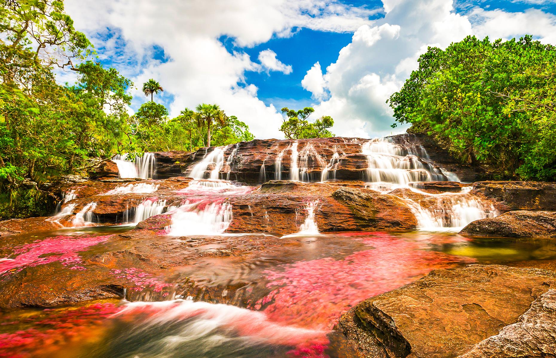 42 Natural Wonders That Are Bursting With Colour