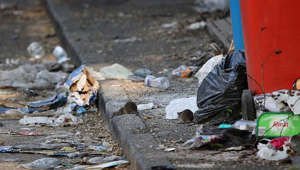 Street full of garbage infested with rats in Manchester