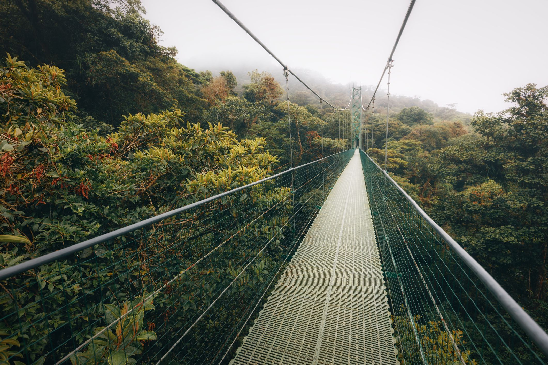 <p>Looking for fun things to do in Costa Rica? This list was developed by scouring online forums, review sites, and travel guides to formulate the top 10 things you should do in Costa Rica. Plus, there’s advice from savvy travelers who’ve explored the country.</p><h3>1. Explore Monteverde Cloud Forest</h3><p>One of the best things to do in Costa Rica is visit Monteverde Cloud Forest, which, for nature lovers, is like a vast playground. Here, visitors can explore the reserve via zip lines, go birdwatching, visit butterfly and hummingbird reserves, and take a nighttime guided tour to see and hear the park’s nocturnal residents. With almost 26,000 acres, it’s no wonder the reserve sees almost 70,000 unique visitors each year.</p><p>If you put this one on your list, you’ll want to purchase tickets in advance. On its website you can buy a day pass, book an experience, or reserve a room at the Monteverde Cloud Forest Lodge. Typically, a day pass is $12 for kids, $25 for adults. <em>cloudforestmonteverde.com/</em></p>